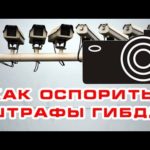 Как оспорить штраф ГИБДД